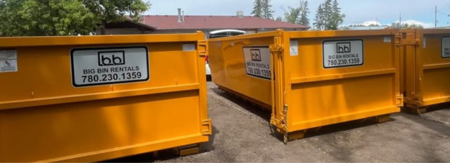 Big Bin Rentals Cover Image