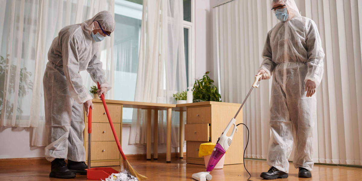 Reliable Fire Ant Pest Control in Wakerley: Safeguard Your Property from Dangerous Infestations