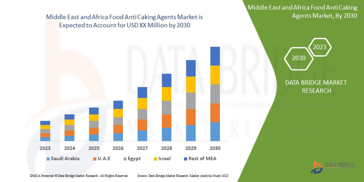 Middle East and Africa Food Anti Caking Agents Market Size and Insights