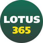 official lotus365 Profile Picture