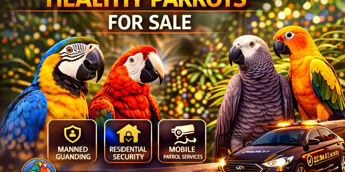 A Simple Guide to Choosing the Right Quaker Parrot for Your Home