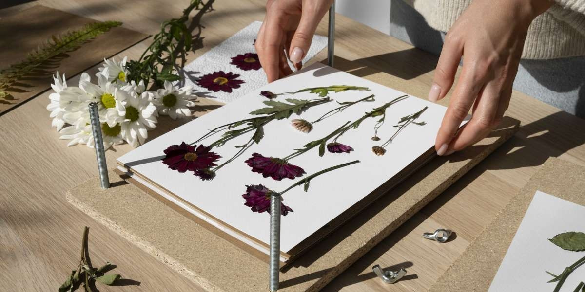 Pressed Flower Frames Sydney – Nature Preserved