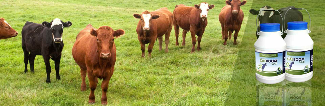 Vetset Lifecare Cover Image