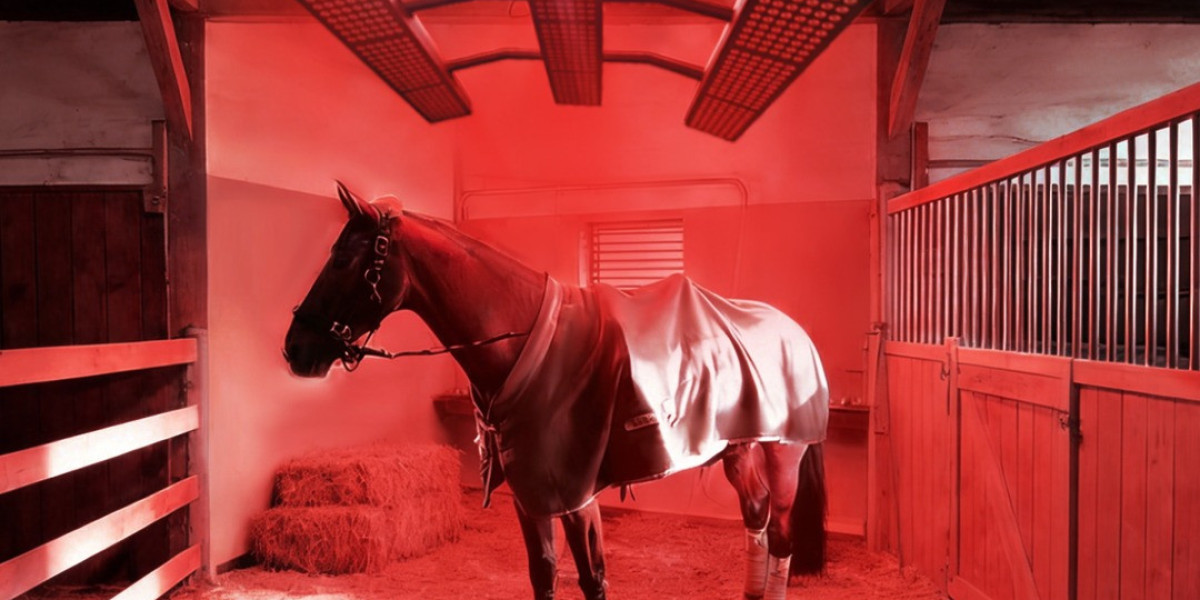Enhance Your Horse’s Wellness with a Red Light Therapy Blanket