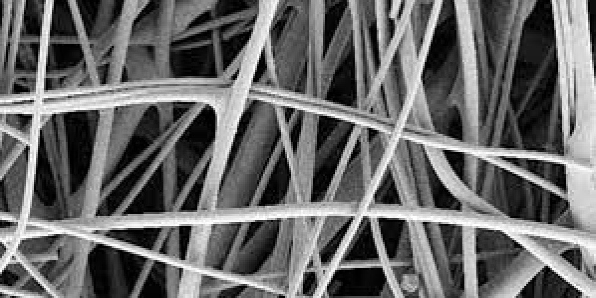 The Rise of Innovative Solutions in the Track Etched Membrane Market