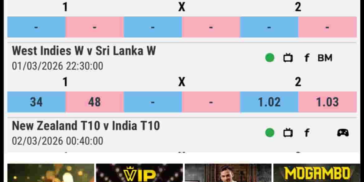 Allpanelexch9: A Smart Hub for Modern Gaming and Betting Enthusiasts