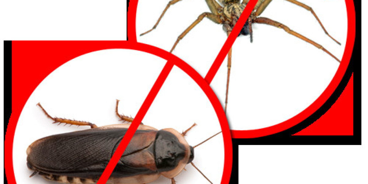 Tired of Bugs? Here’s the Best Pest Control in San Antonio