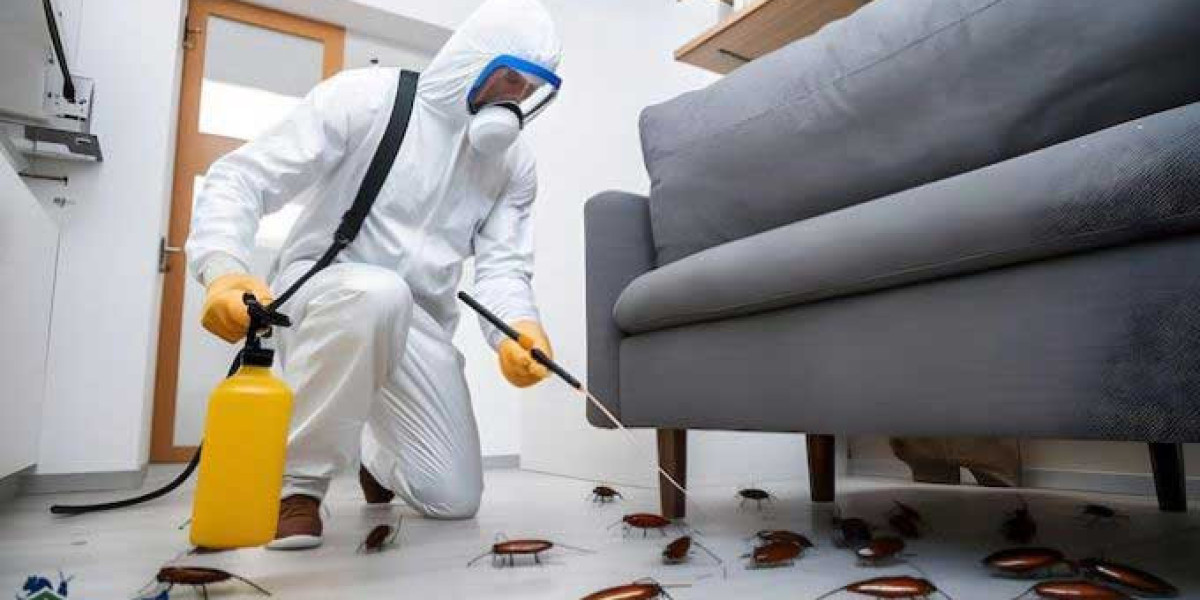 The Complete Homeowner’s Guide to Mice and Rat Prevention in the USA