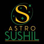 Best Vedic Astrologer in India Profile Picture