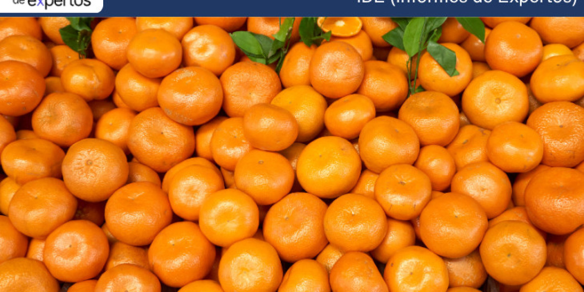 Mercado de la Naranja: Crecimiento Sostenido y Oportunidades