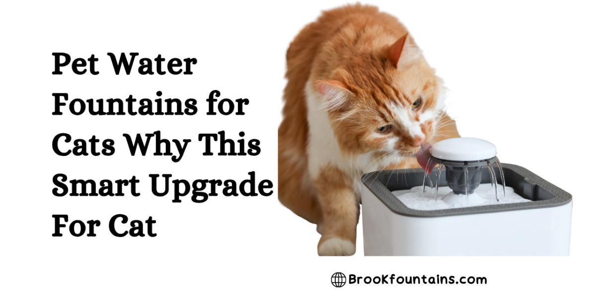 Pet Water Fountains for Cats Why This Smart Upgrade For Cat