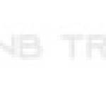 anb transinc Profile Picture