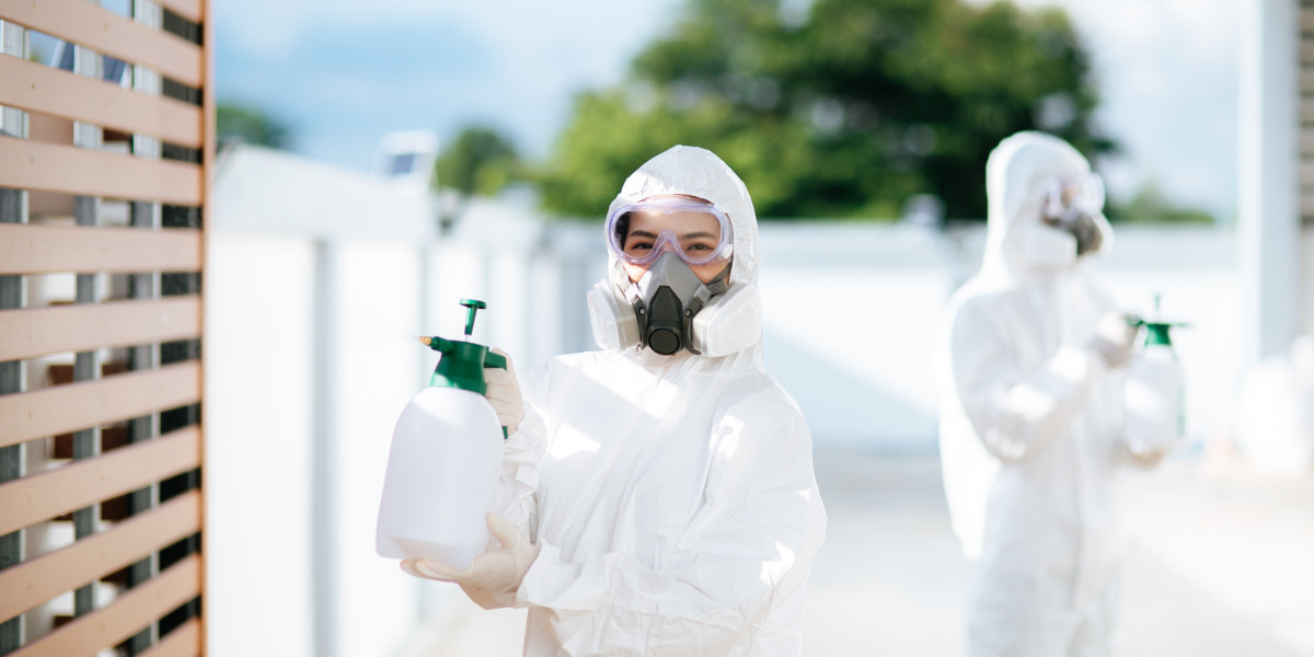 Professional Bed Bug Treatment in East London