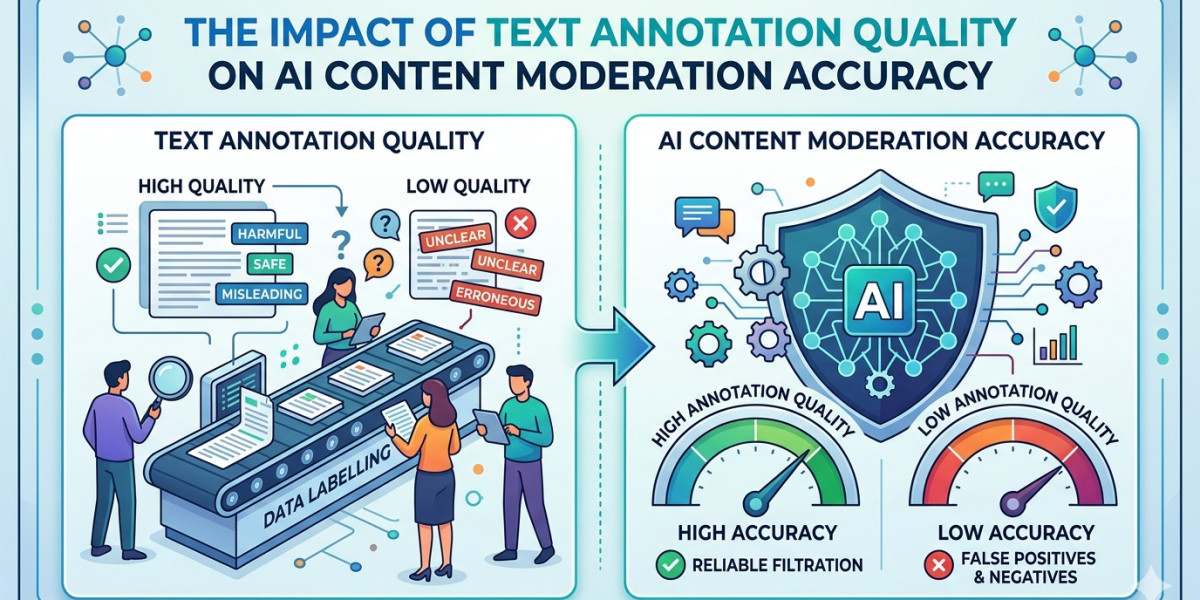 The Impact of Text Annotation Quality on AI Content Moderation Accuracy