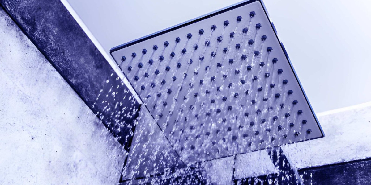 Best Shower Filter in USA – Clean & Safe Water for Every Home