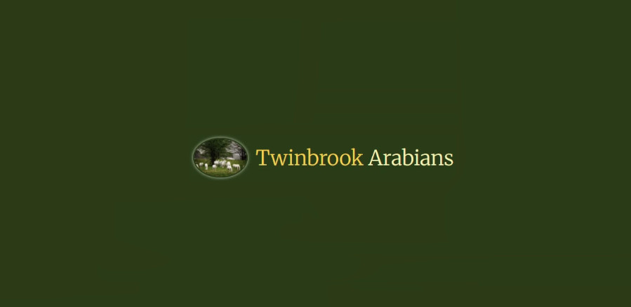 Twinbrook Arabians Profile Picture