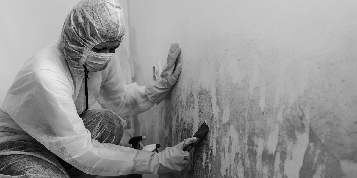 Mold Mitigation Experts Stop Mold Growth Fast