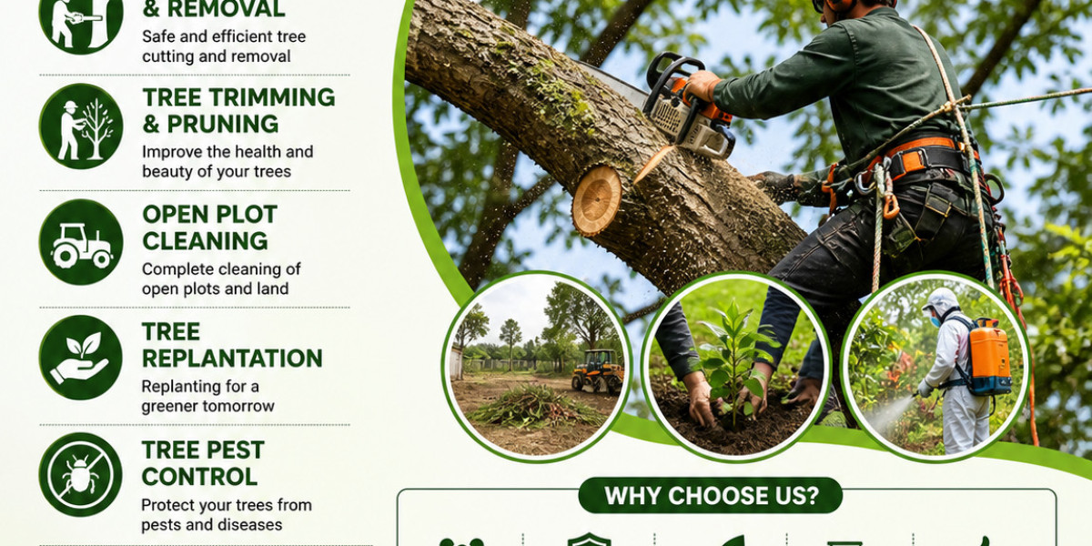 Affordable and Safe Tree Cutting Services Hyderabad