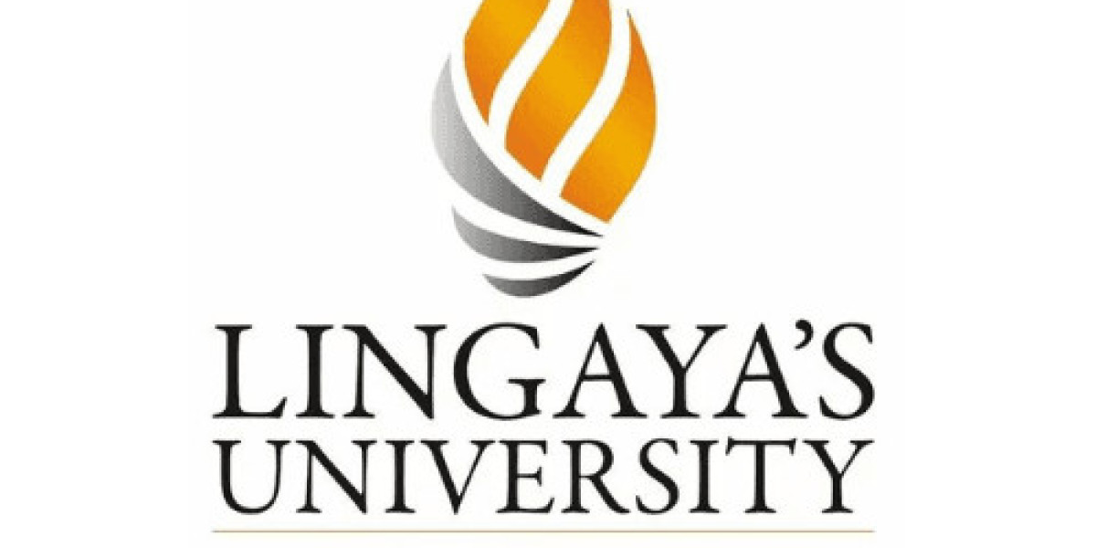 Why Lingaya's Vidyapeeth is the Best BBA College in Delhi NCR