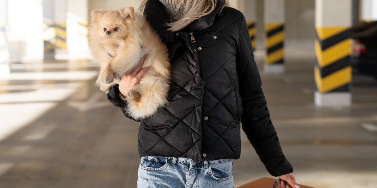 Choosing a Reliable Flight Nanny for Pets: Safe and Stress-Free Pet Travel