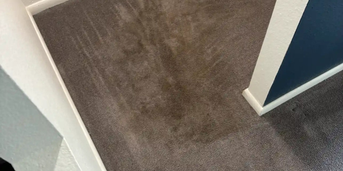 Why Morrison's Unique Environment Is Quietly Damaging Your Carpets and Floors