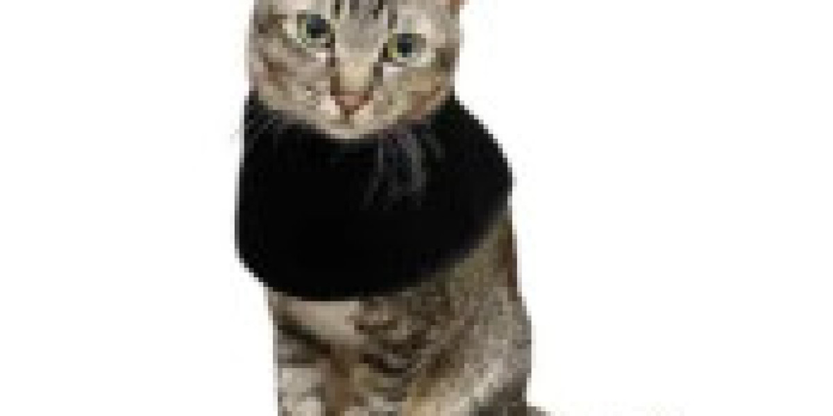 Advanced Light-Based Wellness Support for Animal Recovery and Comfort Solutions