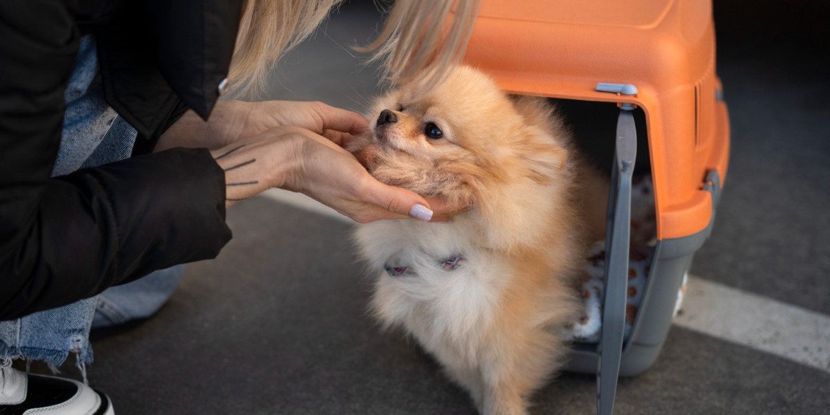 How a Puppy Nanny Service Provides Stress-Free Pet Travel