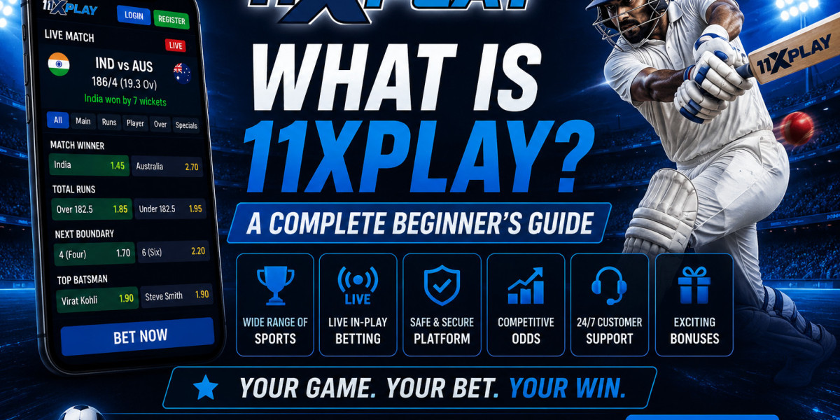 What Is 11xplay A Complete Beginner's Guide