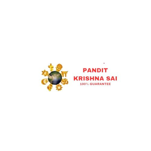Pandit Krishna Sai Profile Picture