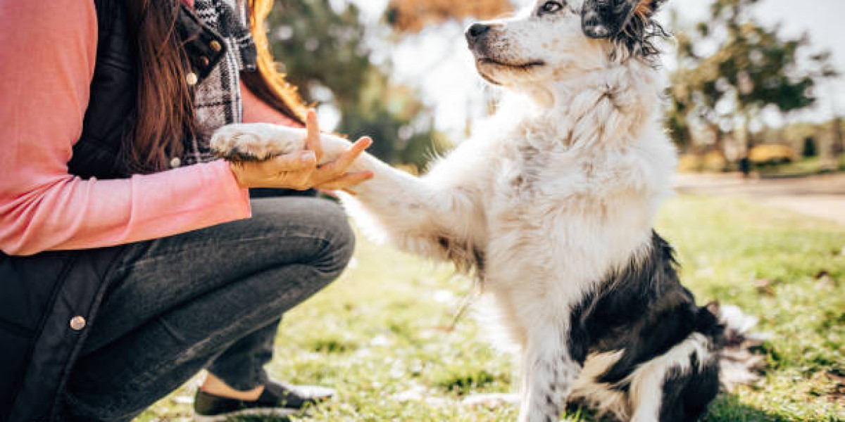 The Science Behind the Dog Guardian: Why This Approach Actually Works