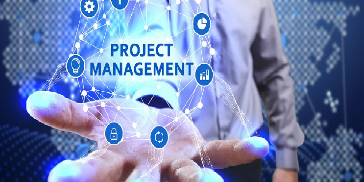 PROJECT MANAGEMENT & DEVELOPMENT CONSULTANT: COMPREHENSIVE PROFESSIONAL OVERVIEW AND STRATEGIC INDUSTRY GUIDE