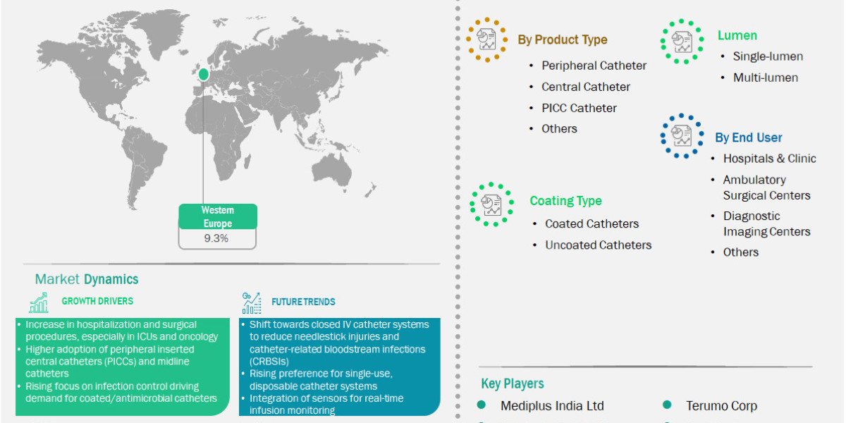 Western Europe Intravenous Catheters Market Set for Robust Expansion Across 2025–2033 Forecast Period