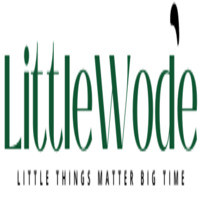 littlewode Profile Picture