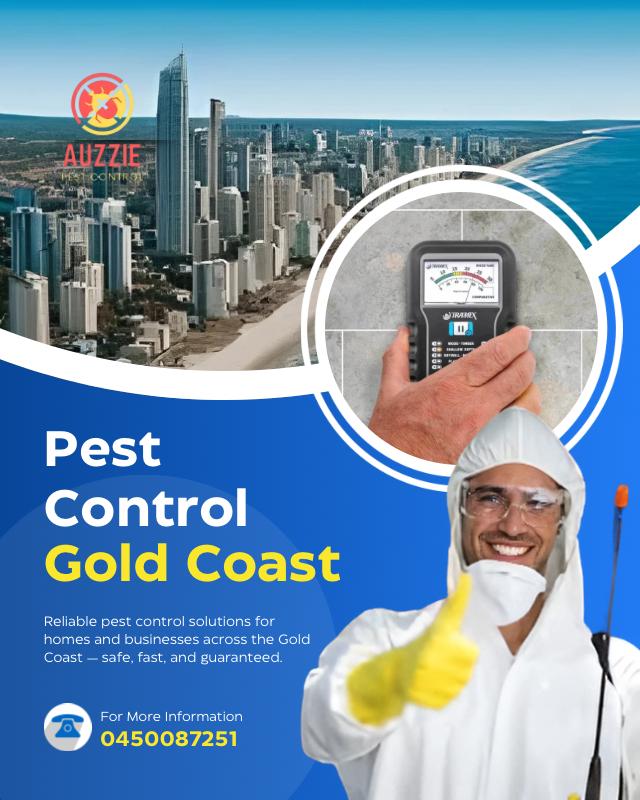 Pest Control Gold Coast | Affordable Pest & Termite Treatments