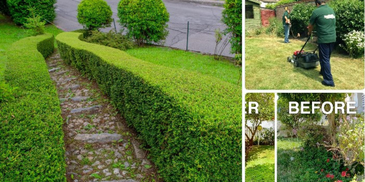 Commercial Lawn Mowing Services for Professional Business Properties