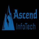 Ascend InfoTech Profile Picture