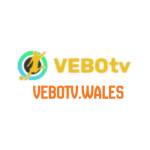 VEBOTV Profile Picture