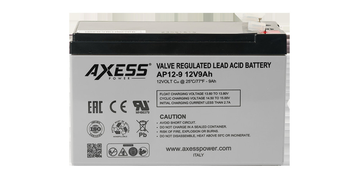 UPS Battery Supplier in Middle East: Everything Businesses Need to Know