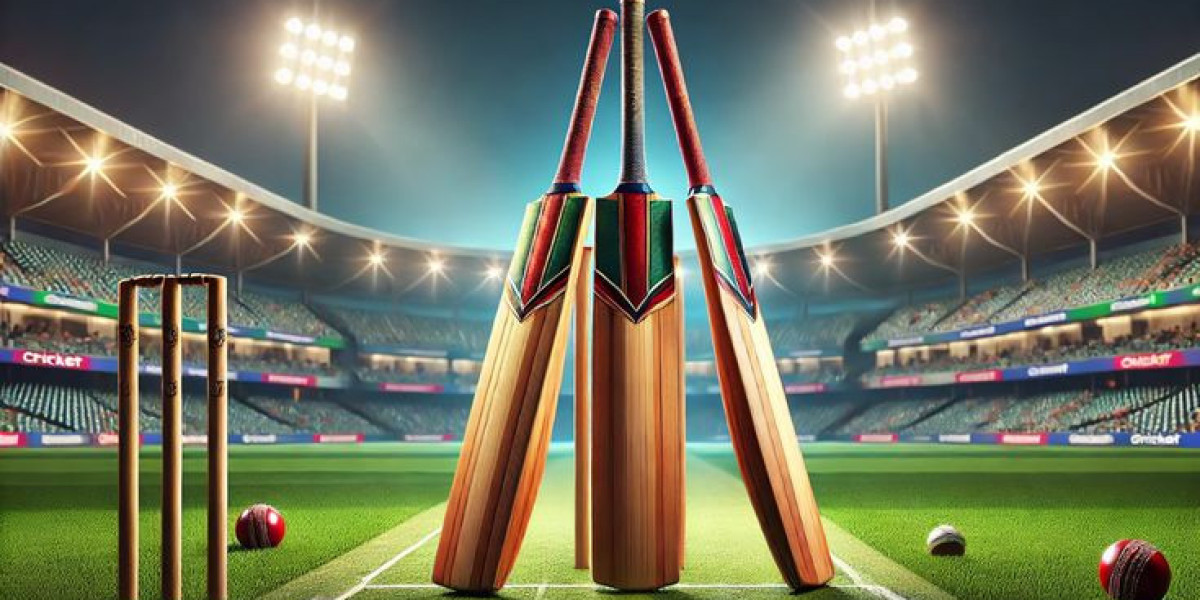 SkyExchange Explained: A Complete Guide for Cricket Lovers