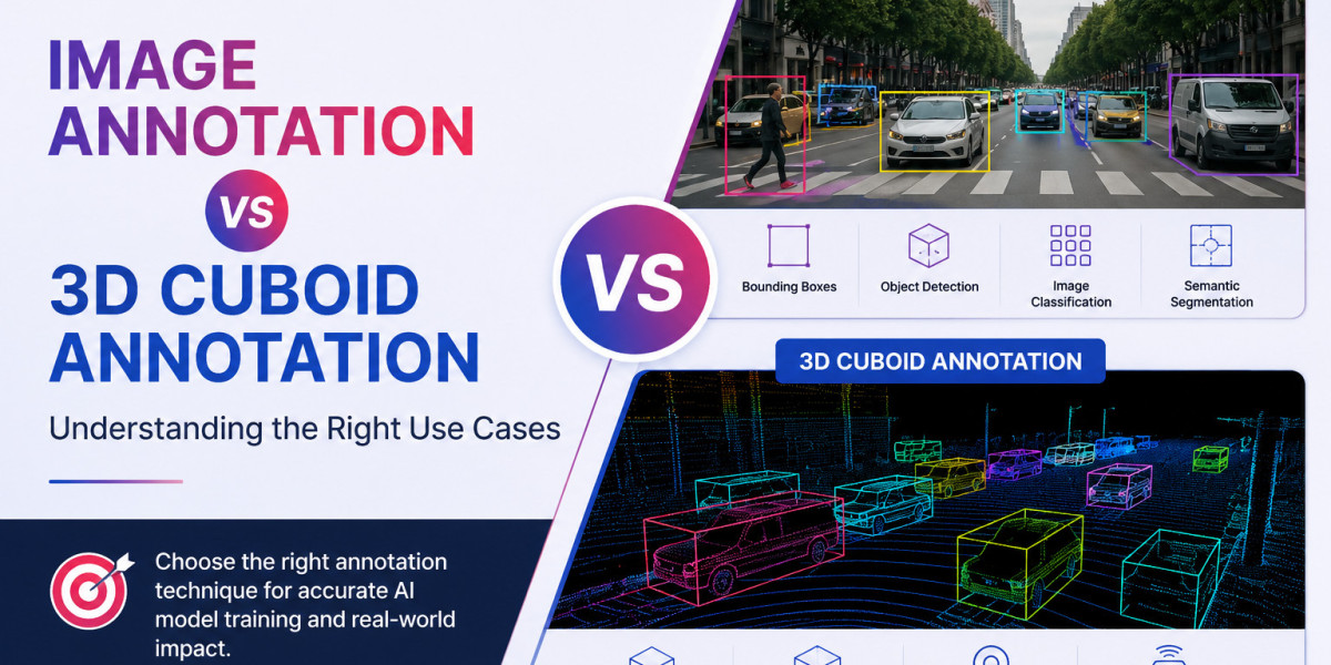Image Annotation vs. 3D Cuboid Annotation: Understanding the Right Use Cases