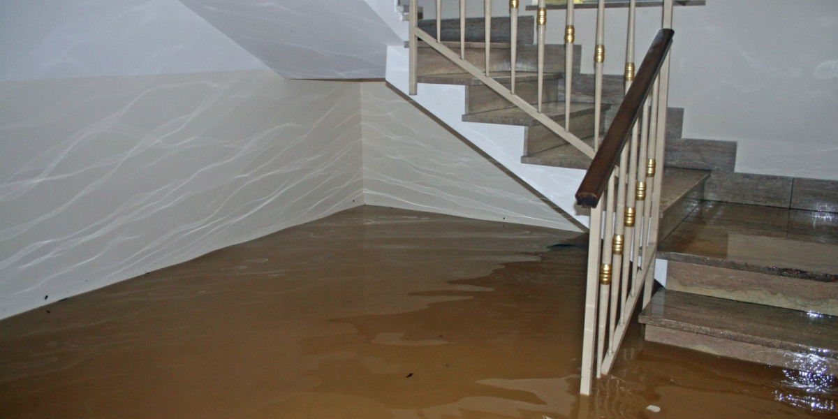 How Can You Find the Best Restoration Company for Fast Water & Mold Recovery?